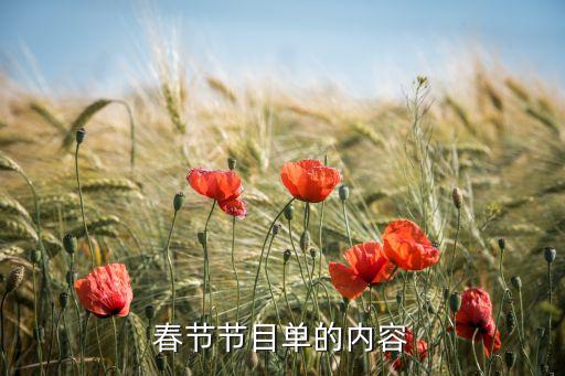春节节目单的内容