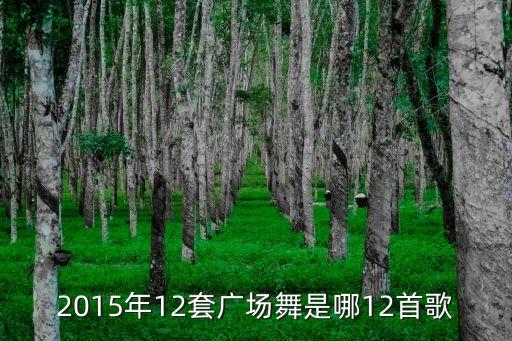2015年12套广场舞是哪12首歌