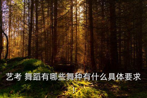 艺考 舞蹈有哪些舞种有什么具体要求!
