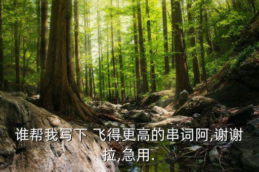 谁帮我写下 飞得更高的串词阿,谢谢拉,急用.