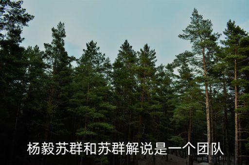  杨毅苏群和苏群解说是一个团队
