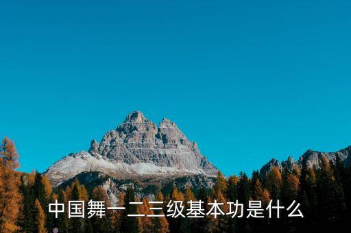 舞蹈 走步敬礼,舞蹈走步动作要领