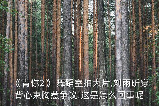 《青你2》 舞蹈室拍大片,刘雨昕穿背心束胸惹争议!这是怎么回事呢