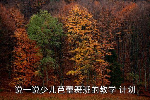 说一说少儿芭蕾舞班的教学 计划
