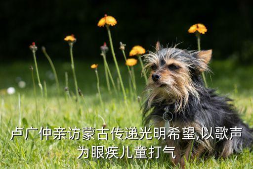 蒙古马的眼睛舞蹈,舞蹈蒙古马串词