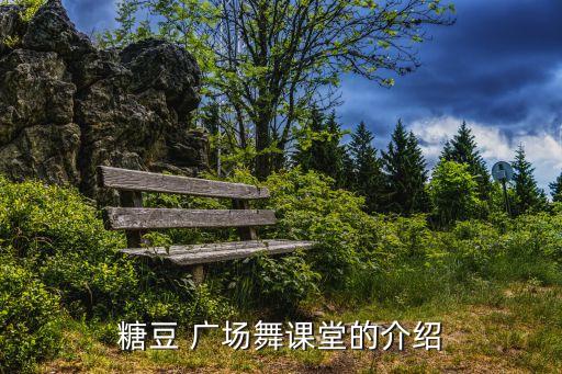 糖豆 广场舞课堂的介绍