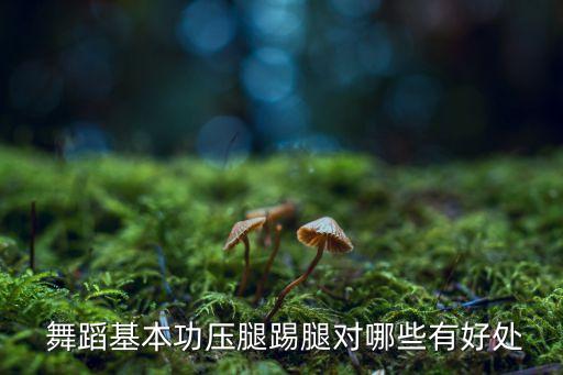 舞蹈中的旁腿,舞蹈地面踢旁腿正确方法