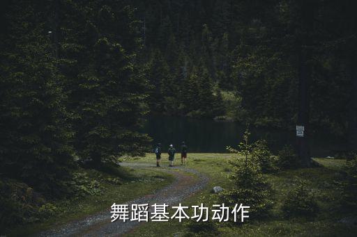  舞蹈基本功动作