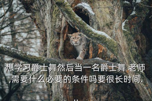 自由自在老师舞蹈视频,凤凰传奇自由自在舞蹈