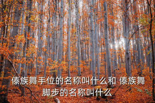  傣族舞手位的名称叫什么和 傣族舞脚步的名称叫什么