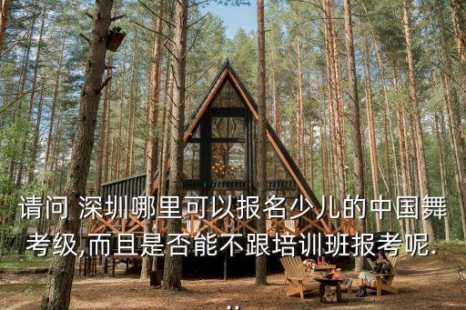 深圳青少年国际舞蹈季,CYDC青少年国际舞蹈公开赛