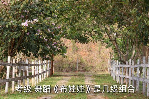  考级 舞蹈《布娃娃》是几级组合