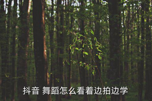抖音 舞蹈怎么看着边拍边学