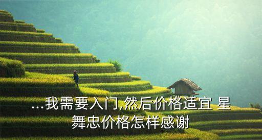 ...我需要入门,然后价格适宜 星舞忠价格怎样感谢
