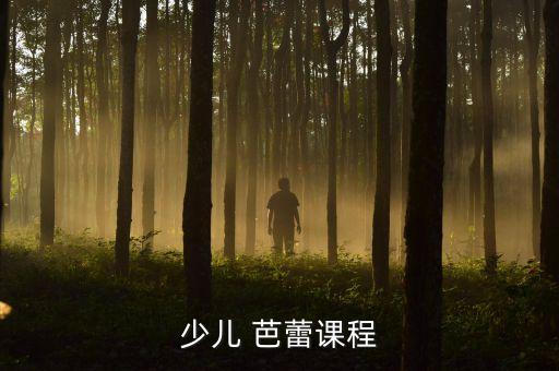 沈阳和平区芭蕾舞蹈培训班,太原芭蕾舞蹈培训班