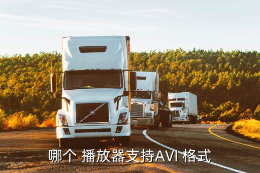 哪个 播放器支持AVI 格式