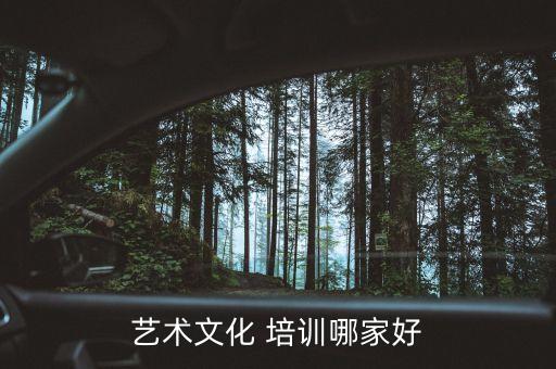 艺术文化 培训哪家好