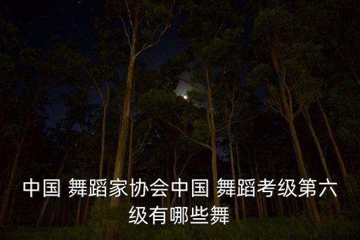 中国 舞蹈家协会中国 舞蹈考级第六级有哪些舞