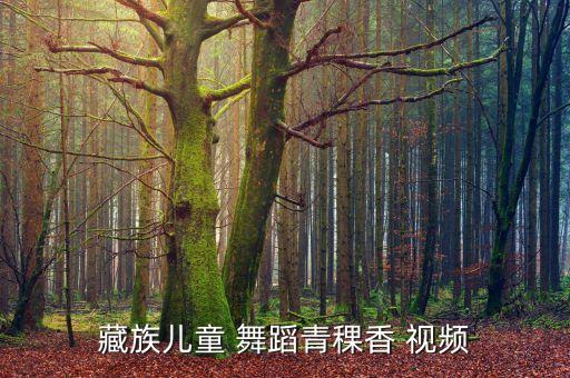 藏族儿童 舞蹈青稞香 视频