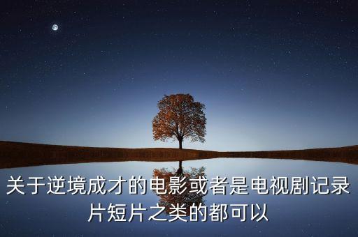 关于逆境成才的电影或者是电视剧记录片短片之类的都可以