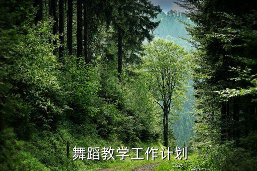  舞蹈教学工作计划