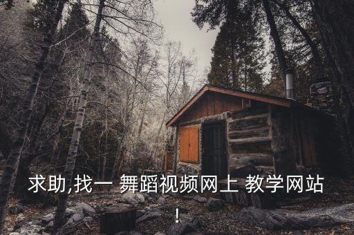求助,找一 舞蹈视频网上 教学网站!