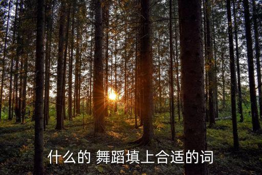 什么的 舞蹈填上合适的词