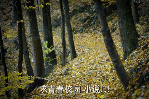 舞蹈校花h小说,运动会开幕式校花舞蹈