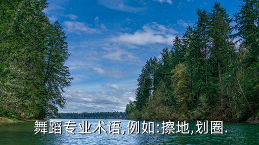  舞蹈专业术语,例如:擦地,划圈.