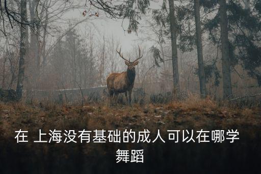 上海舞蹈培训学校爵士,汉中爵士舞蹈培训学校