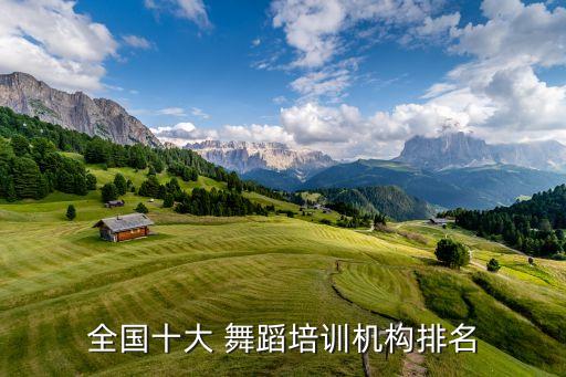全国十大 舞蹈培训机构排名