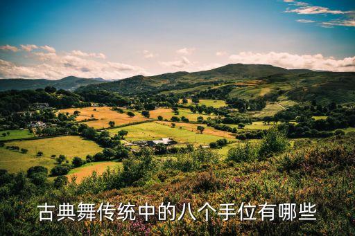 舞蹈脚位图片,舞蹈教室装修效果图片