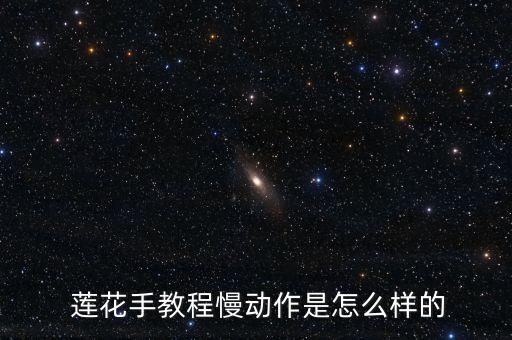 莲花舞蹈队 红梅赞,莲花扇红梅赞背面教学视频