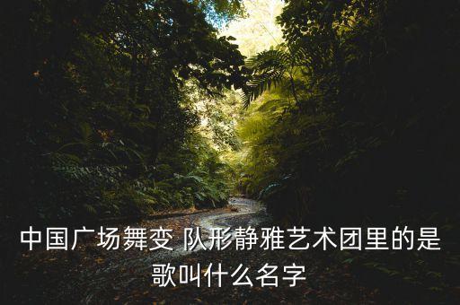 中国广场舞变 队形静雅艺术团里的是歌叫什么名字