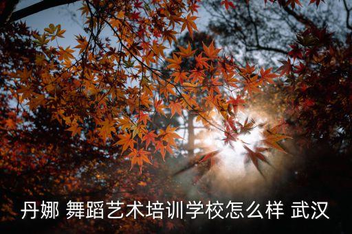 武汉舞蹈专修,武汉单色舞蹈