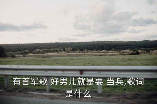 有首军歌 好男儿就是要 当兵,歌词是什么