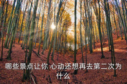 让我心动舞蹈分解中文,你让我心动舞蹈视频