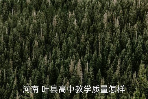 叶县舞蹈班,叶县果果舞蹈学校