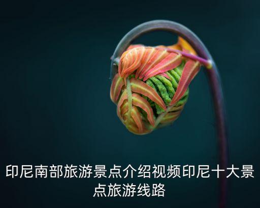 印尼南部旅游景点介绍视频印尼十大景点旅游线路