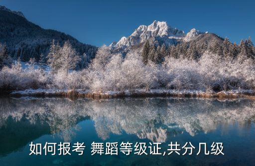 舞蹈考级四级硬腕,考级舞蹈怎么考