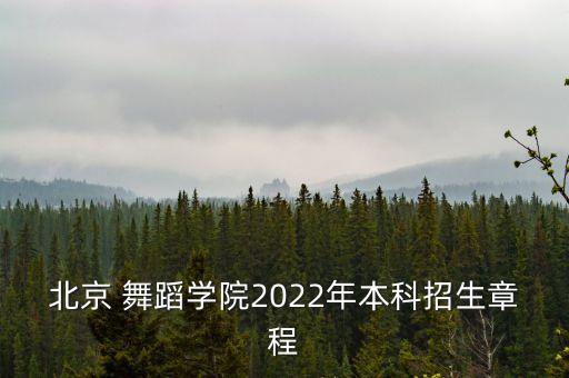舞蹈学校新生