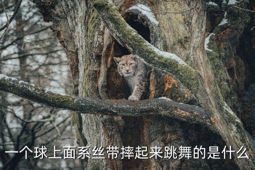 一个球上面系丝带摔起来跳舞的是什么