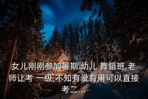 女儿刚刚参加暑期 幼儿 舞蹈班,老师让考 一级,不知有没有用可以直接考二...