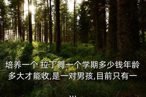 职业舞蹈拉丁舞培训学费,黄州拉丁舞舞蹈培训哪家好