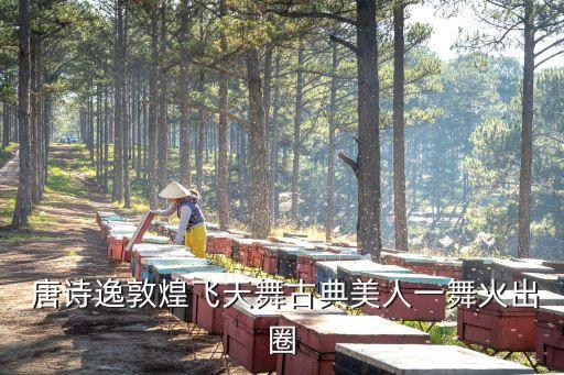  唐诗逸敦煌飞天舞古典美人一舞火出圈
