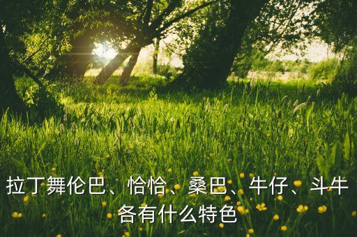 爱情的恰恰舞蹈教程,费玉清爱情的恰恰视频