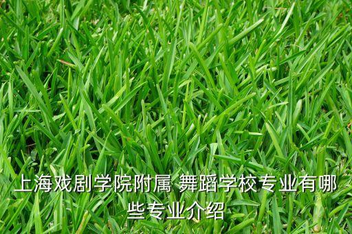 上海戏剧学院附属 舞蹈学校专业有哪些专业介绍