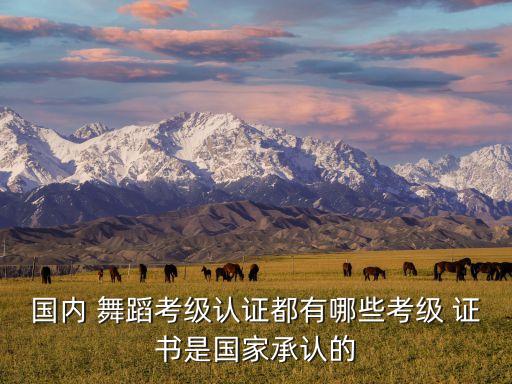 国内 舞蹈考级认证都有哪些考级 证书是国家承认的