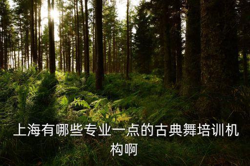  上海有哪些专业一点的古典舞培训机构啊