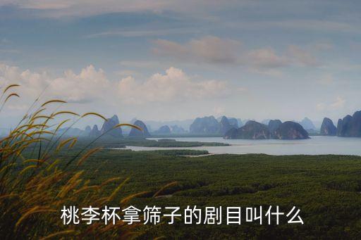  桃李杯拿筛子的剧目叫什么